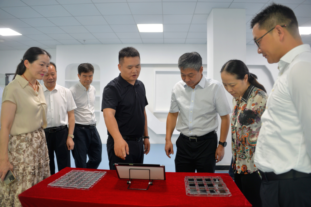 活动 | 严华在市区调研“智赋万企”行动进展情况