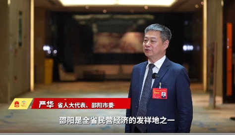 直通省两会丨严华：与民营企